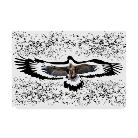 Ata Alishahi 'The Black Birds 1' Canvas Art,30x47